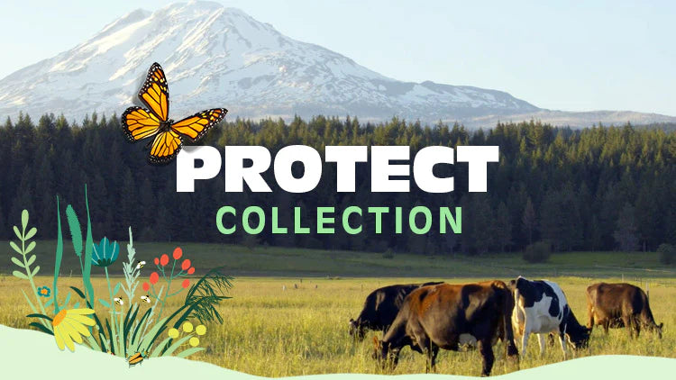 Protect Collection