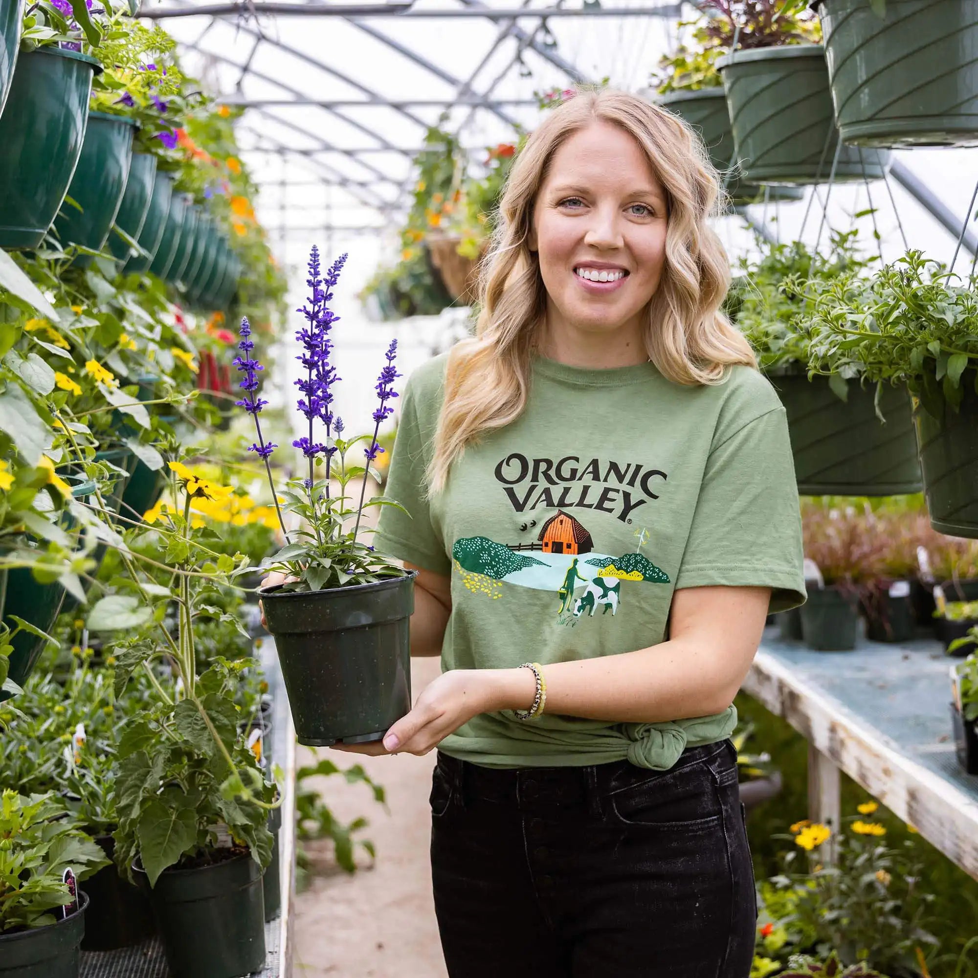 Organic Valley Logo Tee in Sage color